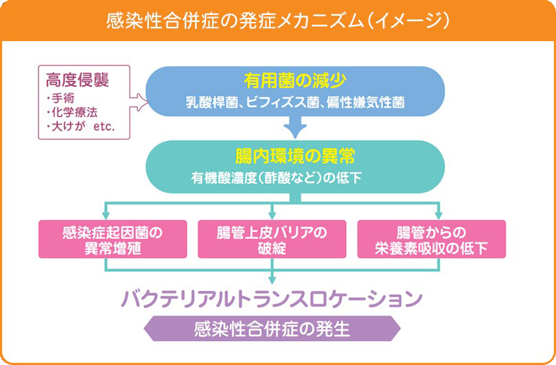 感染性合併症の発症メカニズム（イメージ）