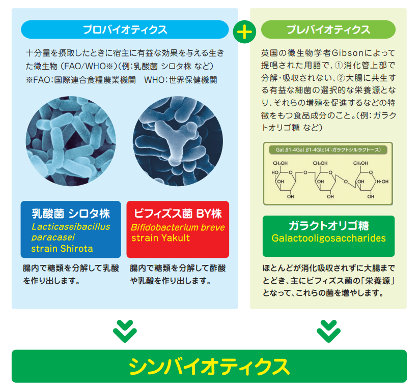 シンバイオティクス